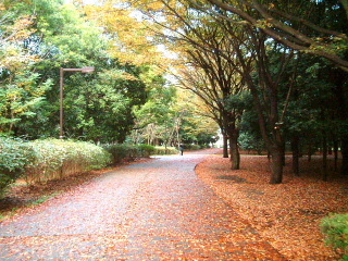 写真6