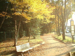 写真7