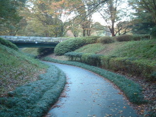 写真2