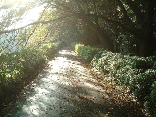 写真3
