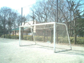 写真5