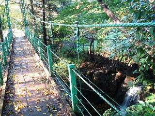 写真6