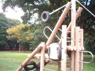 写真11