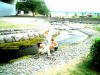 写真4