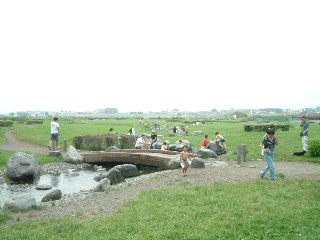 写真5