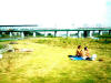 写真6