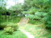 写真3