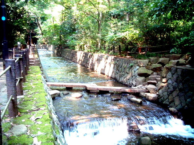 写真4