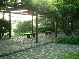 写真5