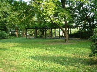 写真6
