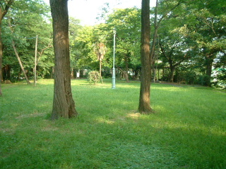 写真7