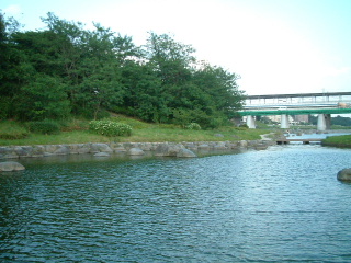 写真8