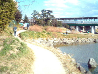 写真9