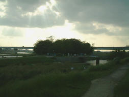 写真10