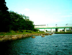 写真11
