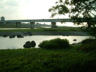 写真12