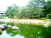 写真13