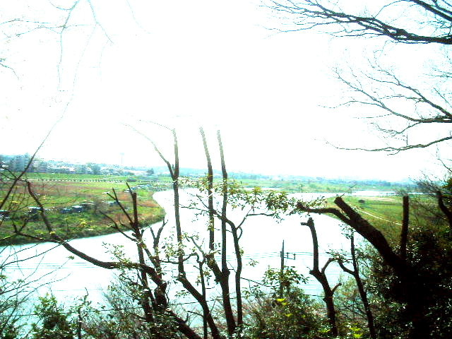 写真2
