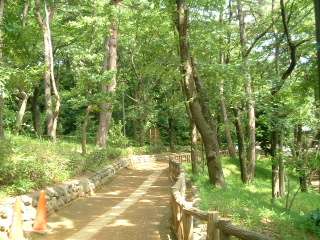 写真3