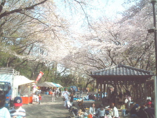 写真4