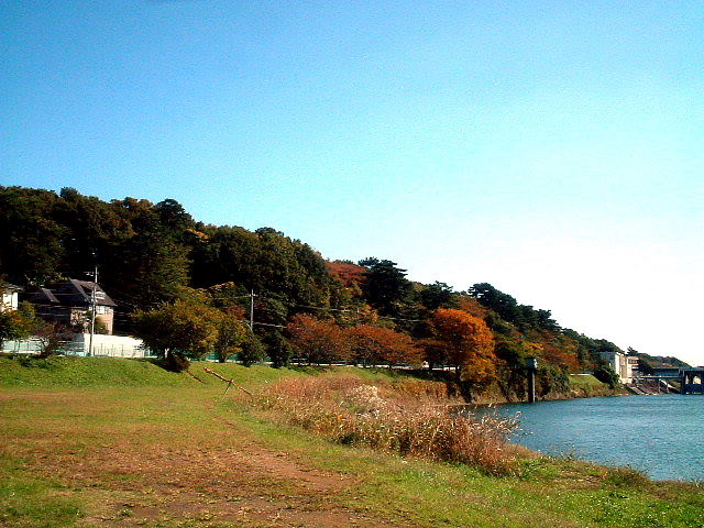 写真5