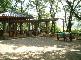 写真6