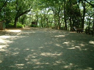写真7