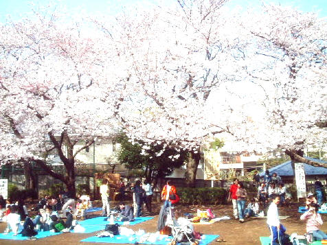 写真1
