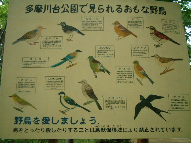 写真3