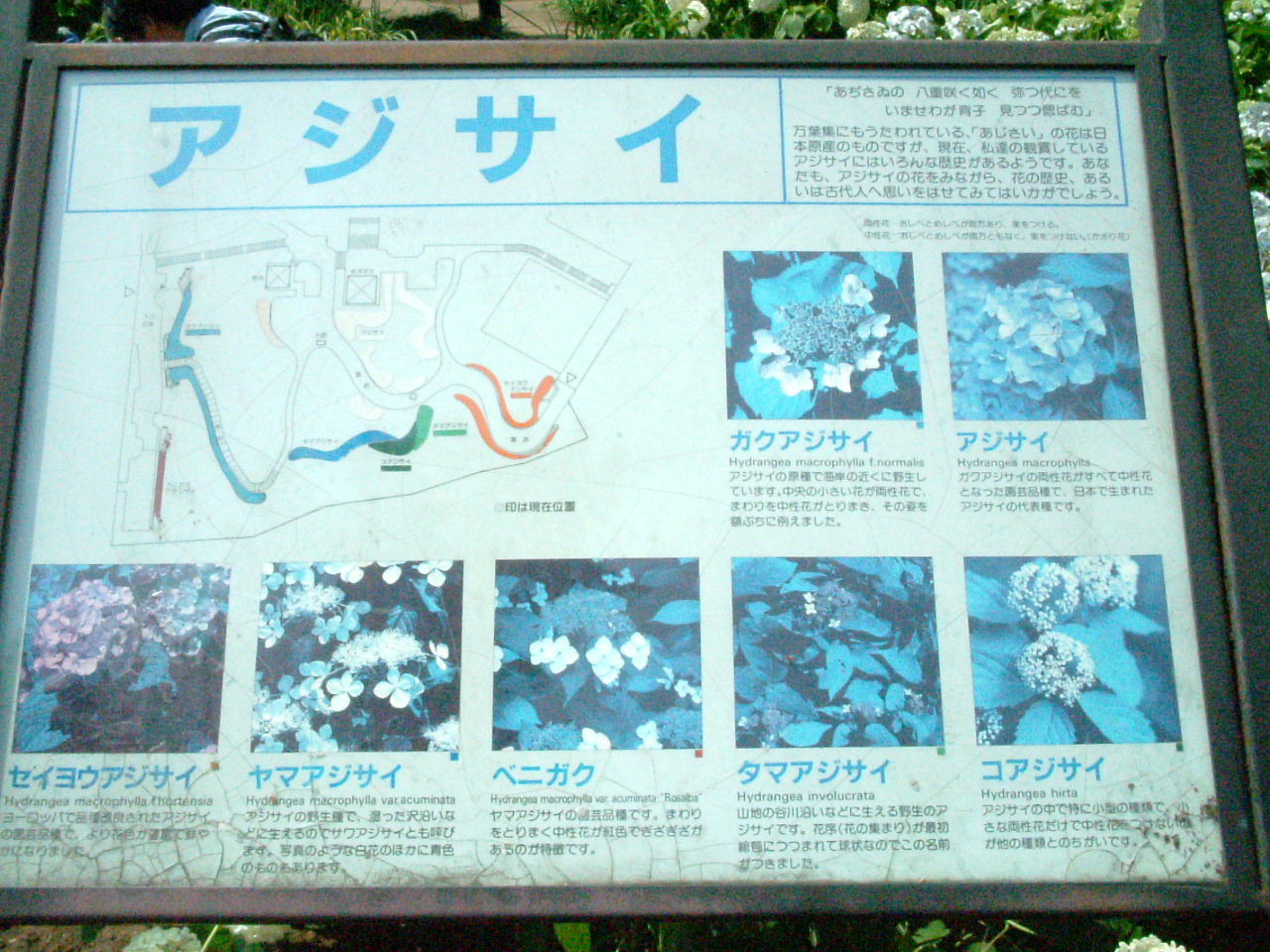 写真5