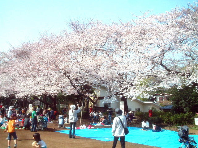 写真7