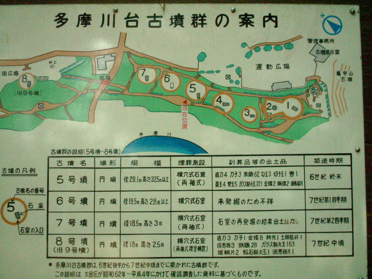 写真3