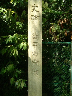 写真4