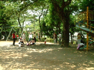 写真6