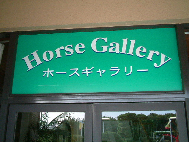 写真3