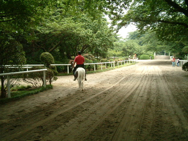 写真4