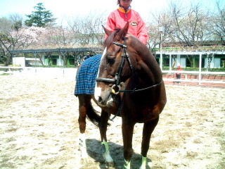 写真10
