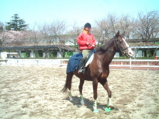 写真13