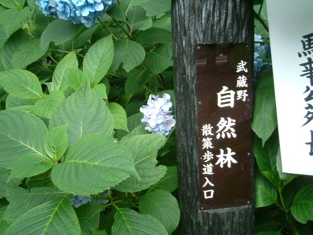 写真5