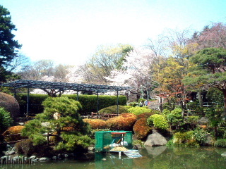 写真6