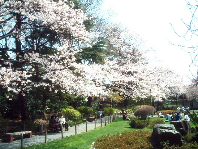 写真8