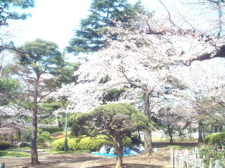 写真10