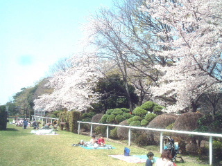 写真11
