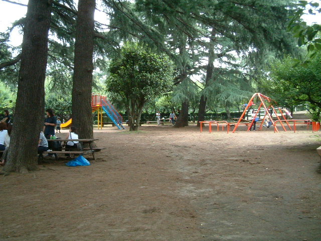写真1
