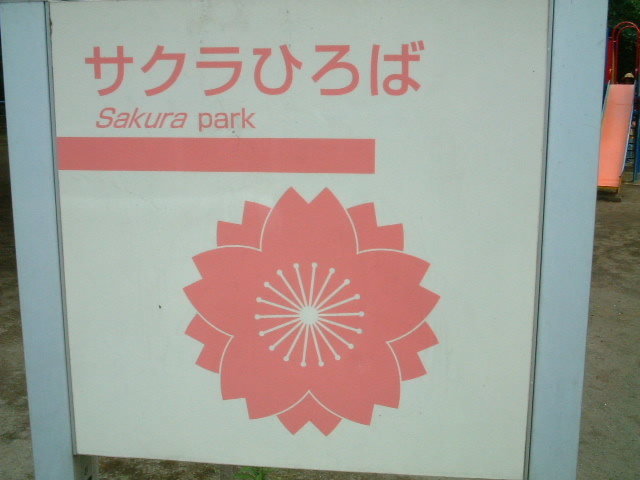 写真2