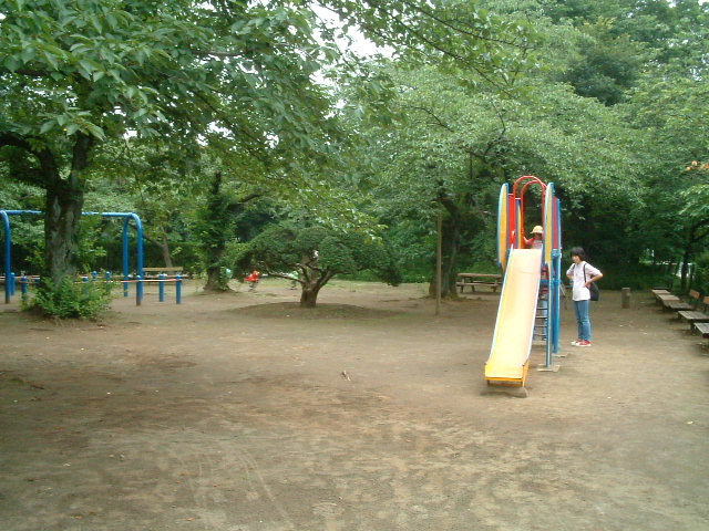 写真3