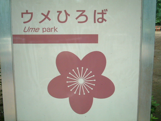 写真4