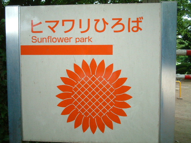 写真6
