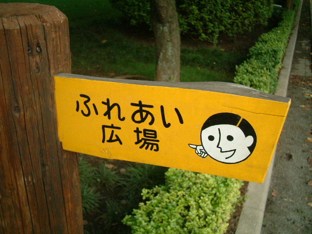 写真8