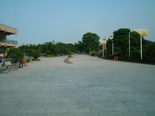 写真4